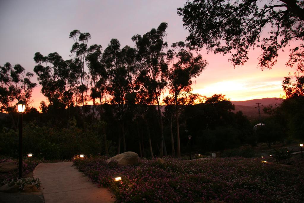 Ojai Retreat & Inn Exterior foto